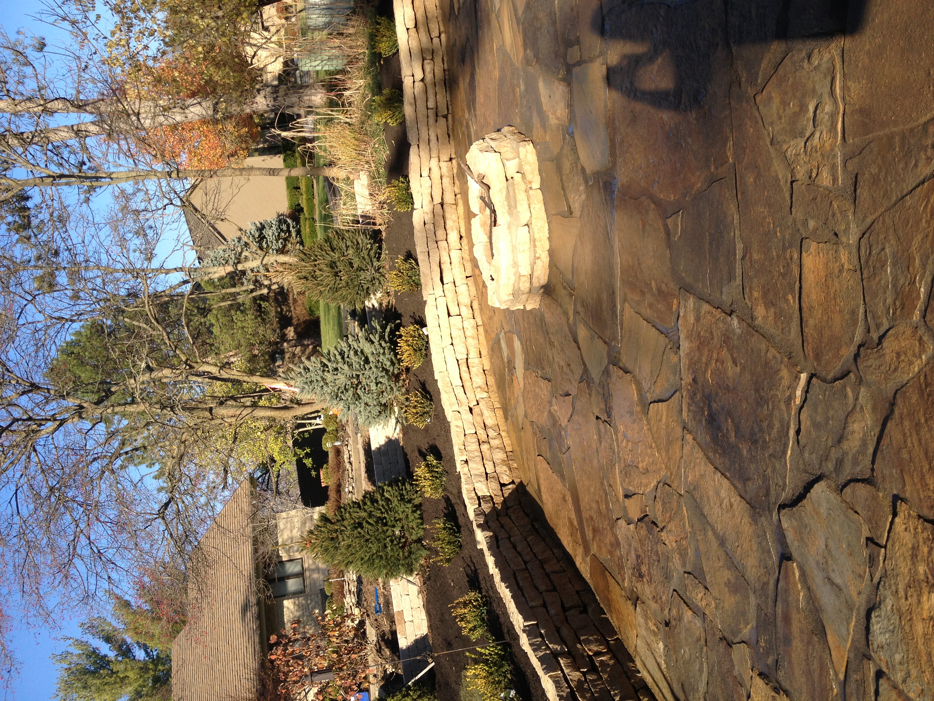 Commercial Landscaping detail